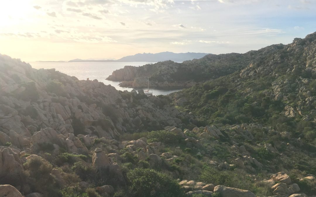 El nacimiento de Vertigoblue