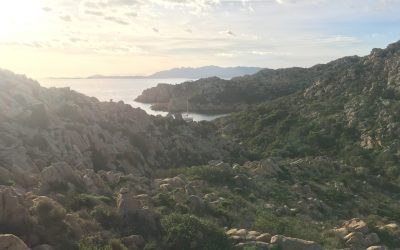 El nacimiento de Vertigoblue